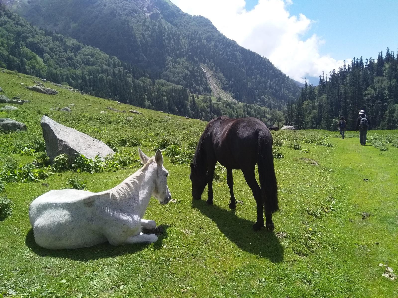 Doodhpathri Trek